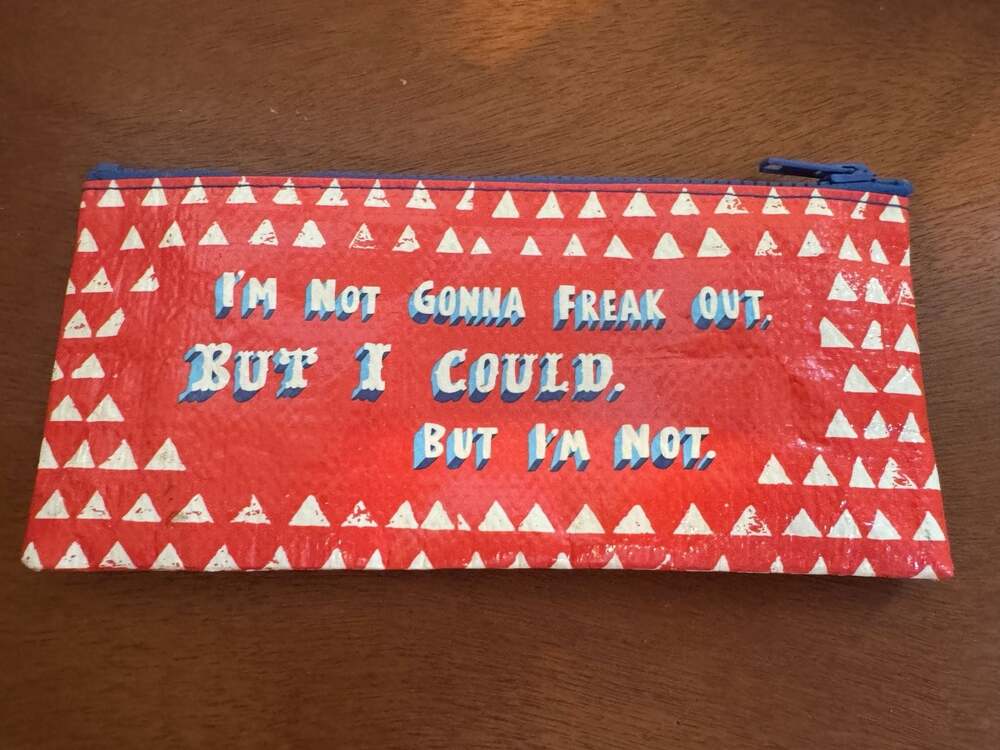 Blue Q Pencil Case - I'm Not Gonna Freak Out. But I Could, But I'm Not.